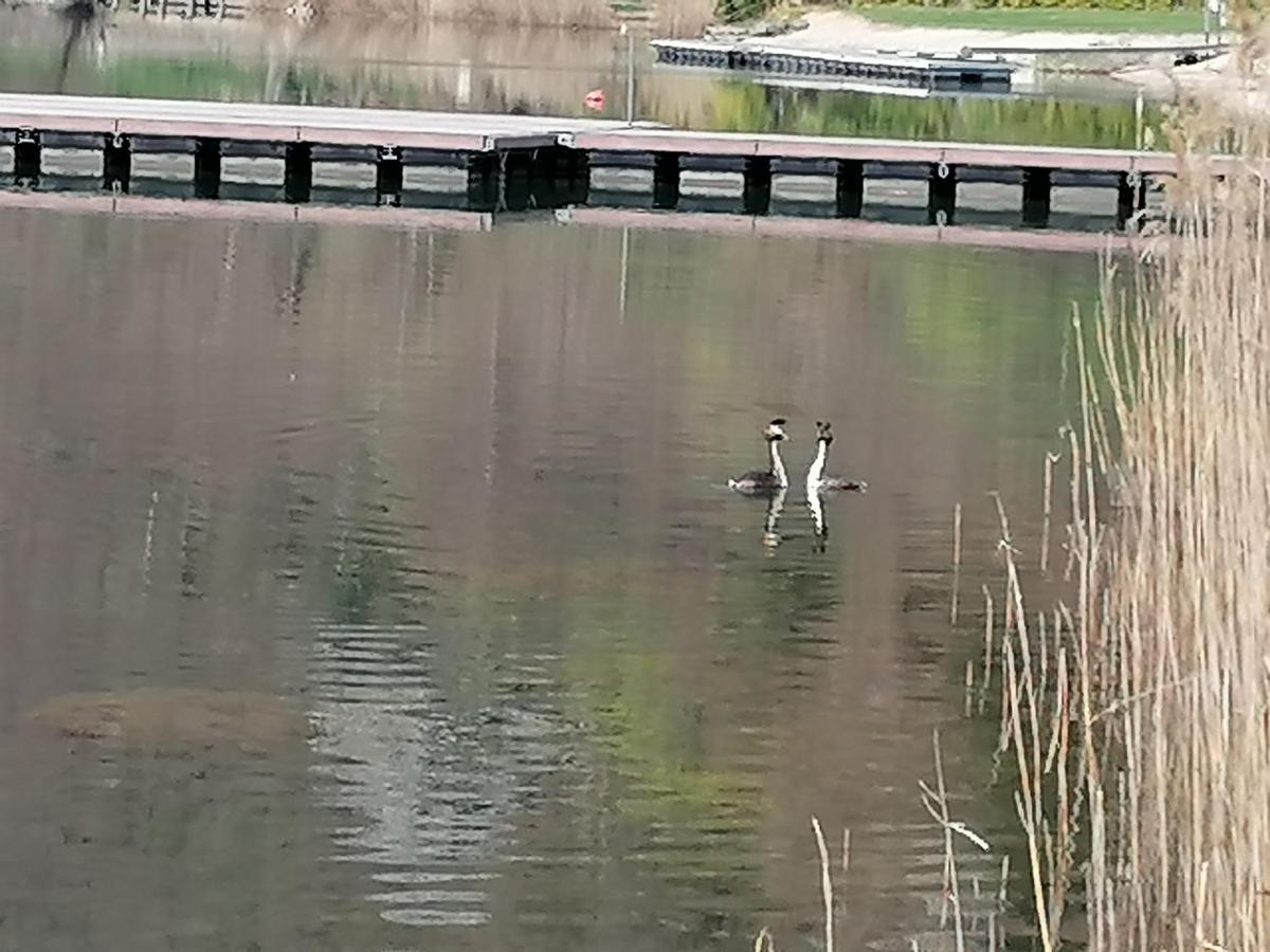 Apartmán Ca' Dei Cigni Calceranica al Lago Exteriér fotografie