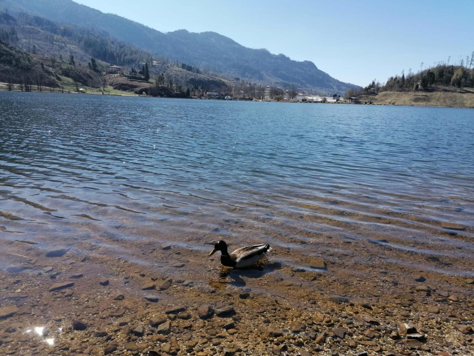 Apartmán Ca' Dei Cigni Calceranica al Lago Exteriér fotografie